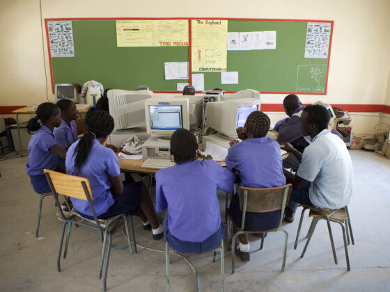 Human resource management, capacity building, and training services