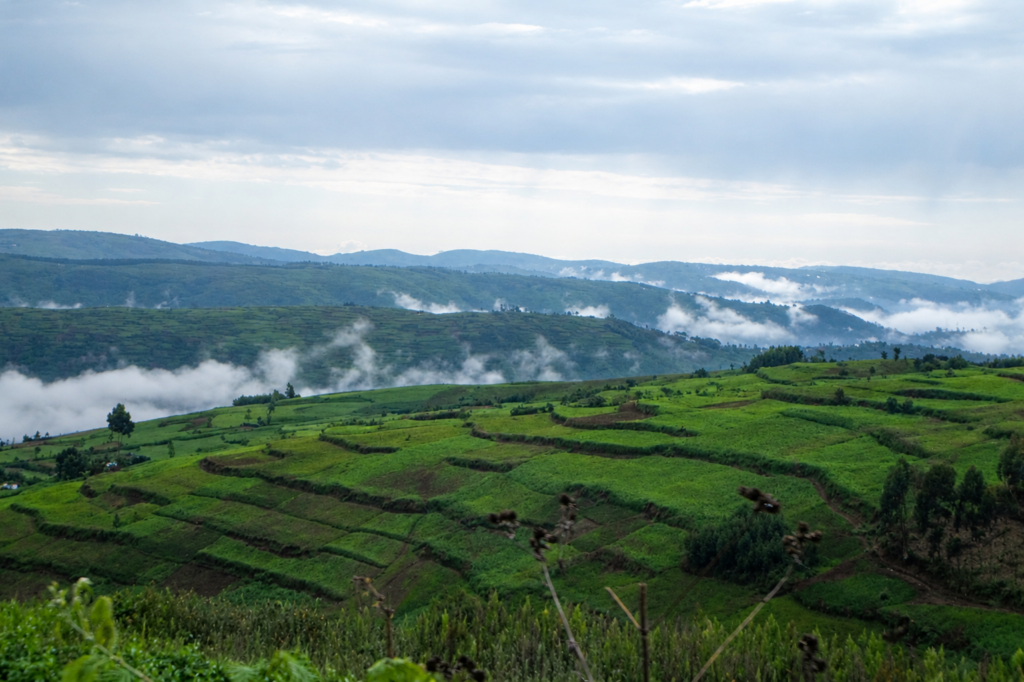 WASH, Environment and Climate Change