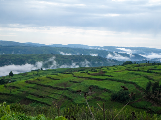 WASH, Environment and Climate Change