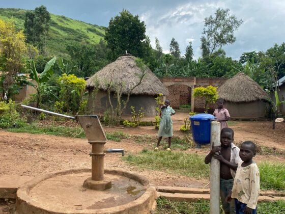 Citizen Engagement and Household Beneficiary Impact Assessment for the Transforming Landscapes for Resilience and Development (TRALARD) Project