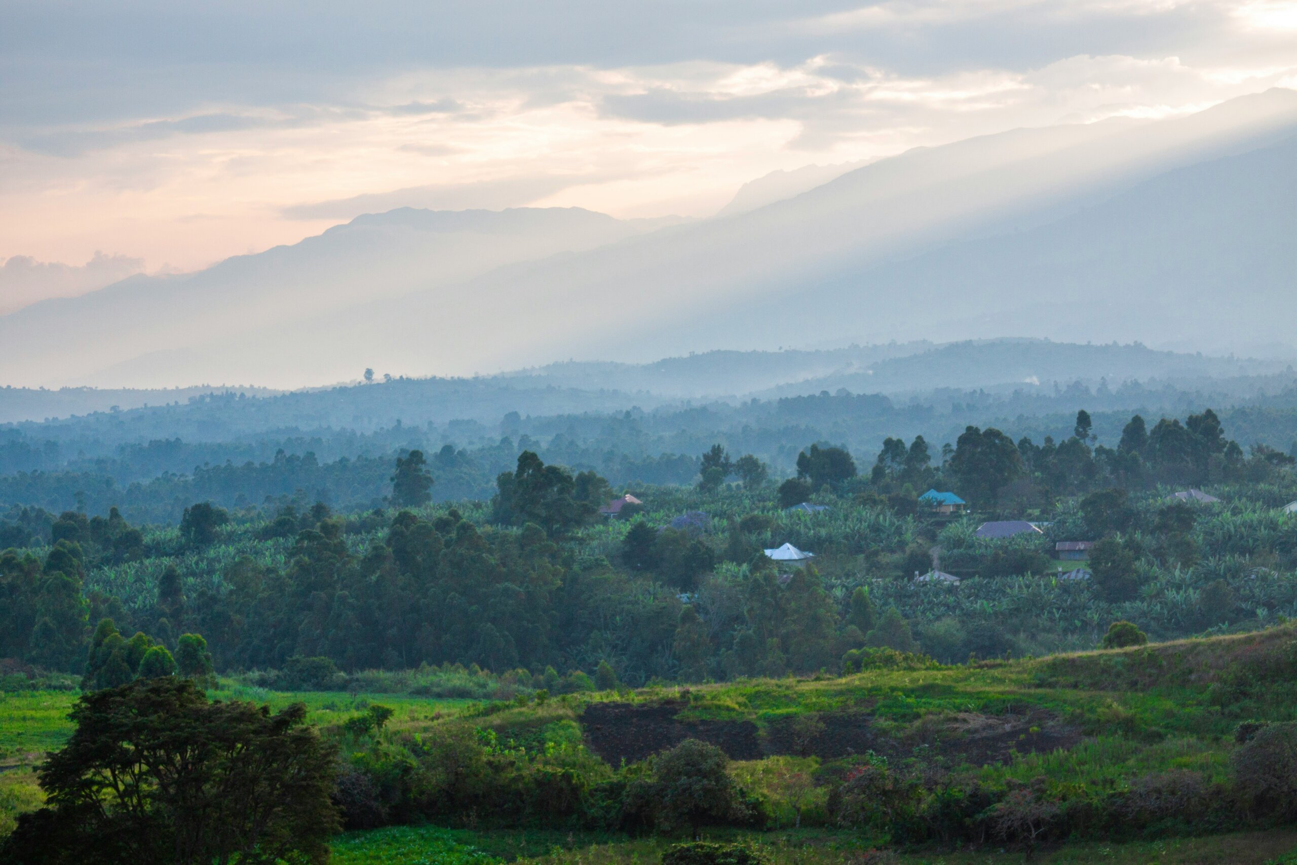 WASH, Environment and Climate Change