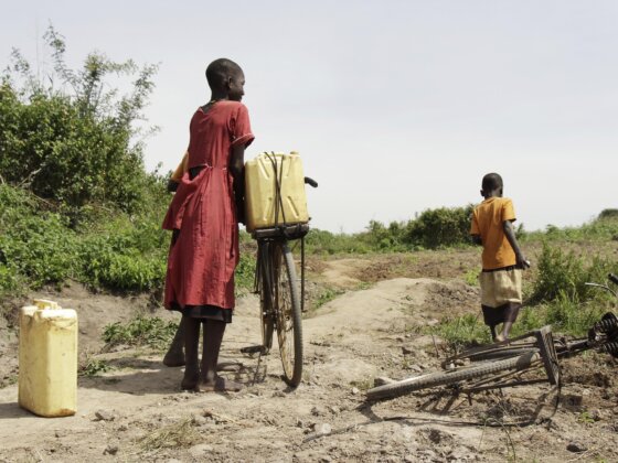 End term evaluation of the Provision of Livelihood Assistance to Refugees and Host Community Populations