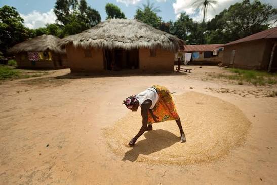 Northern Uganda