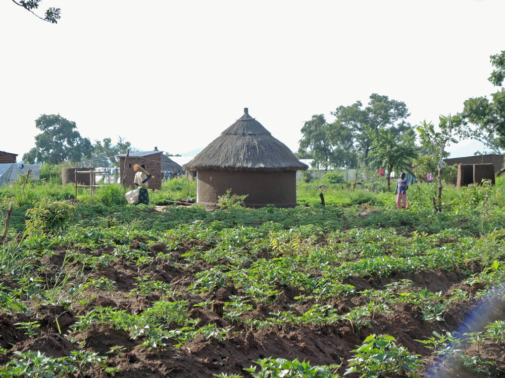 Northern Uganda